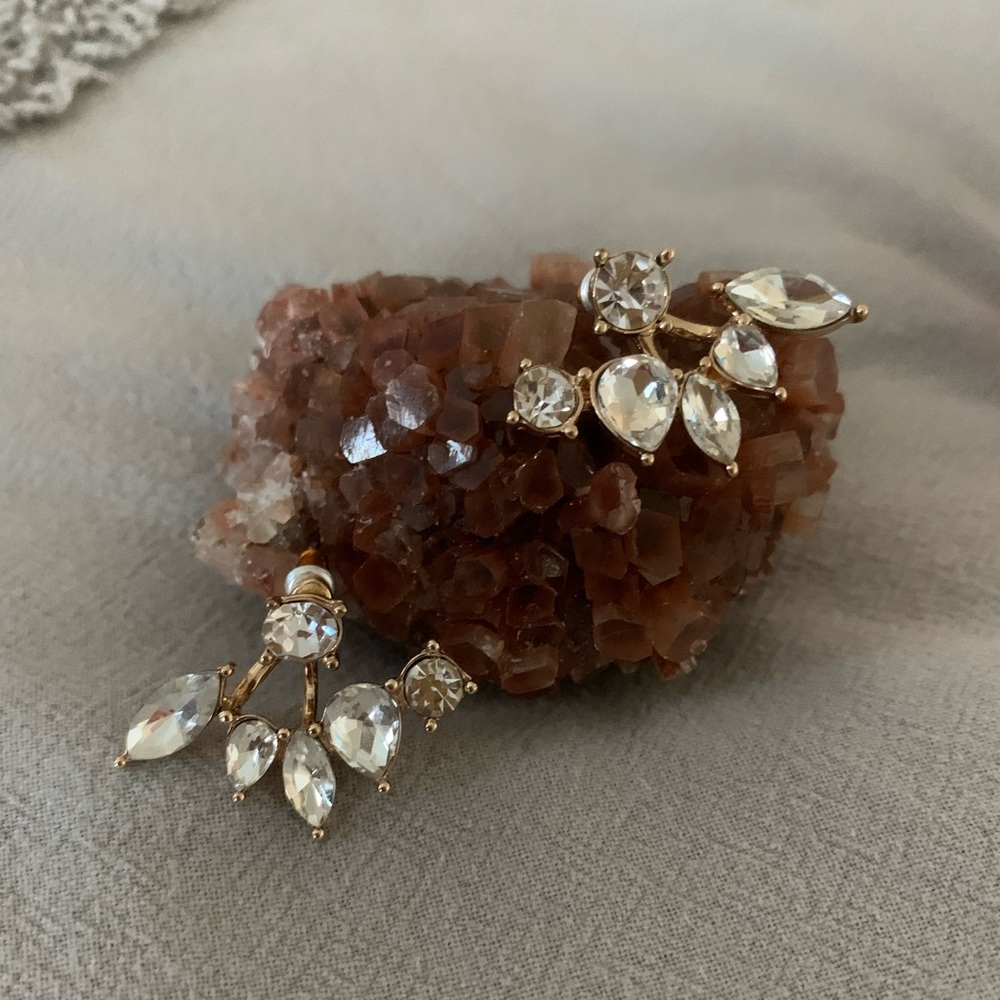 Fashion Earring